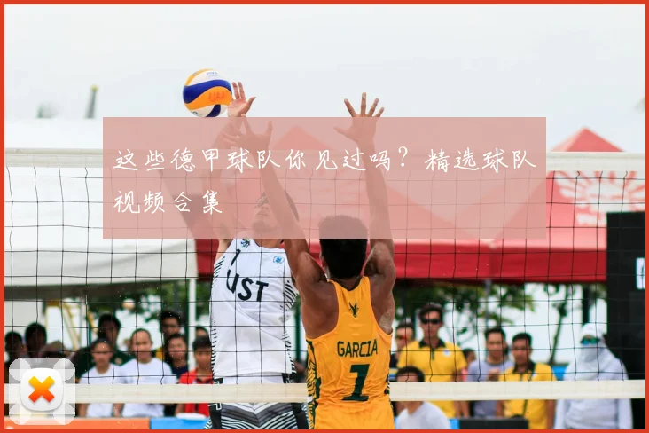 这些德甲球队你见过吗？精选球队视频合集