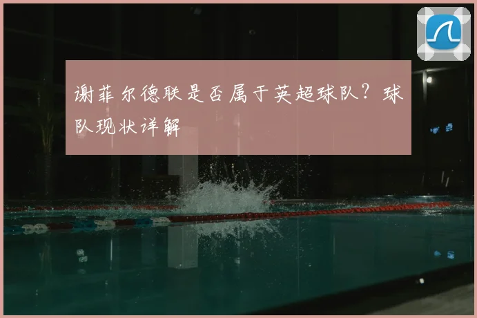 谢菲尔德联是否属于英超球队?球队现状详解