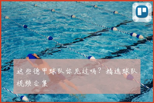 这些德甲球队你见过吗?精选球队视频合集