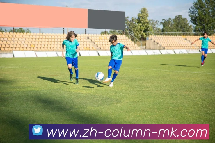 MK体育发展历程